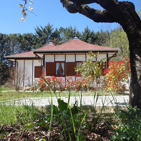 B&B The Lodge Potenza Exterior foto